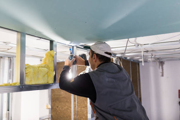 Best Insulation Maintenance and Repair in Ingram, PA