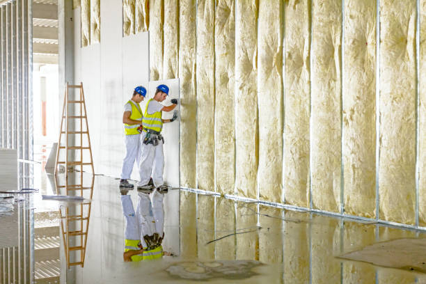 Best Spray Foam Insulation in Ingram, PA
